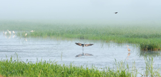 Honeyview_image029.jpg Honeyview_image029.jpg