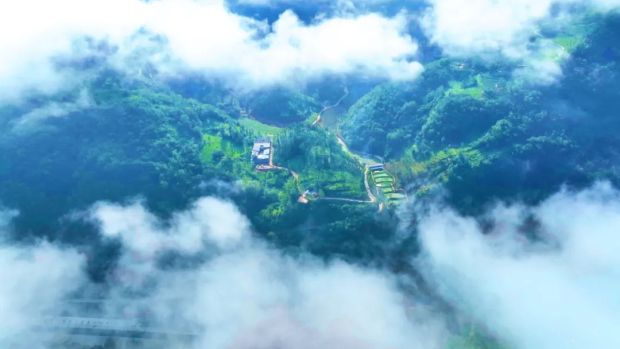 ΢��ͼƬ_20250331151132 (2).jpg