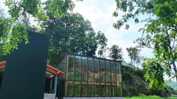 ΢��ͼƬ_20250331151142 (2).jpg